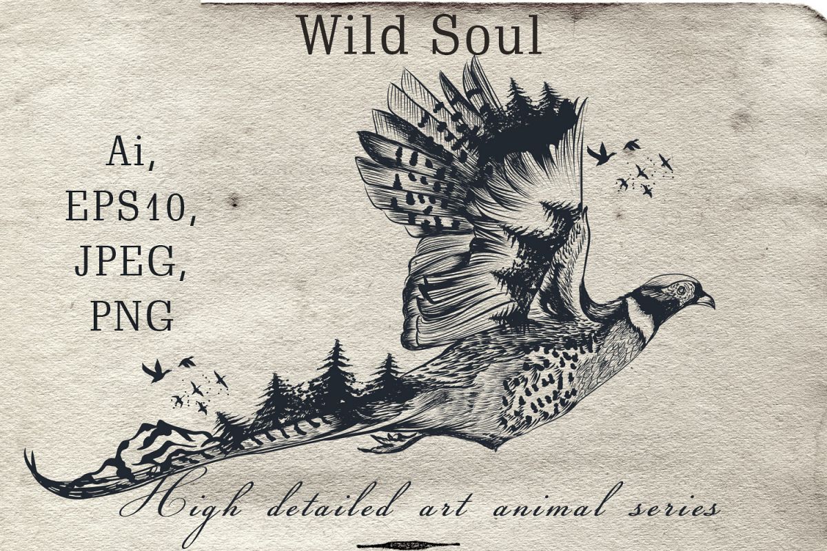 1200x800 Animal Series, Wild Soul Pheasant Vector Illustration