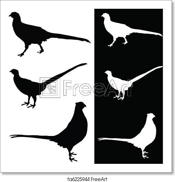 561x581 Free Art Print Of Pheasant Vector Silhouette Freeart