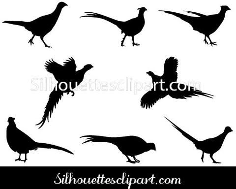 480x384 Pheasant Silhouette Vector Tattoos Pheasant, Pheasant Hunting