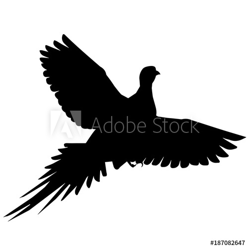 500x500 Pheasant Silhouette Vector Graphics