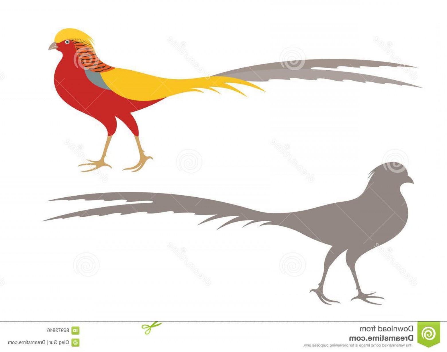 1560x1231 Pheasant Vector Lamaison