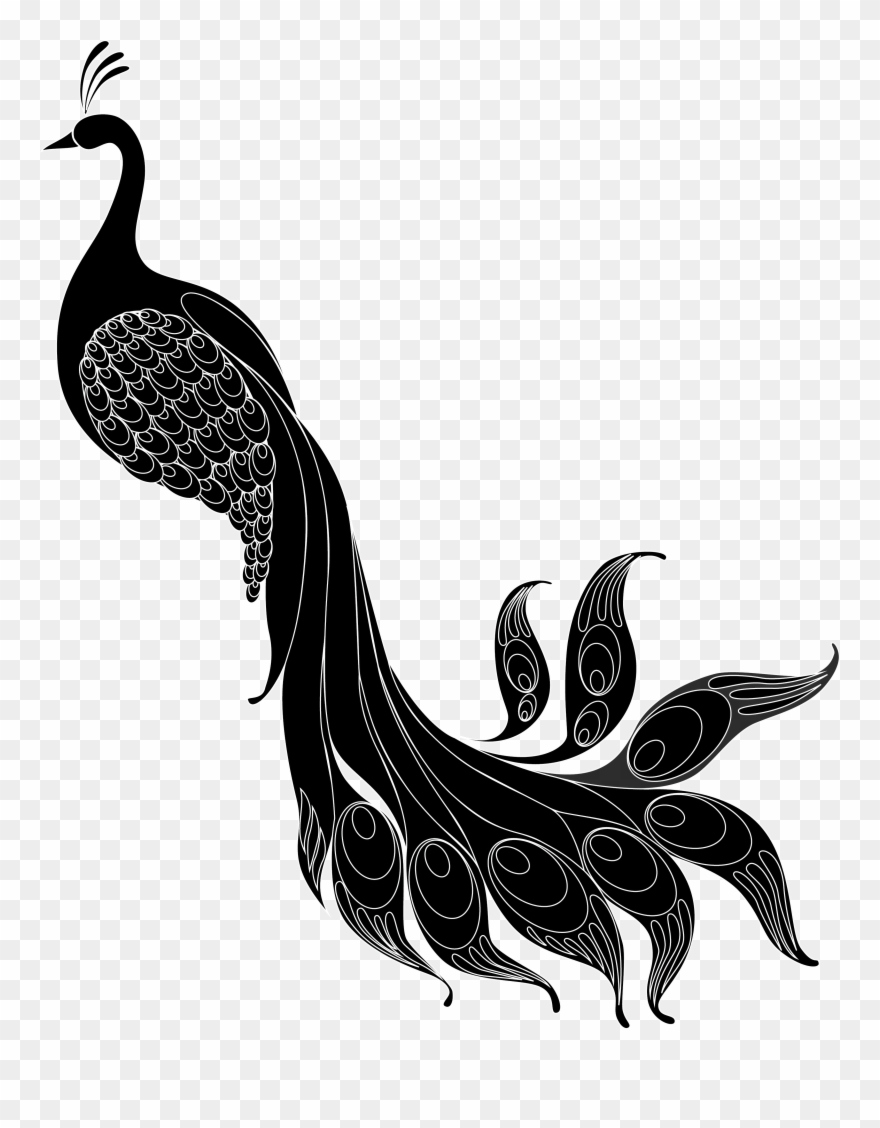 880x1128 Pheasant Vector Abstract