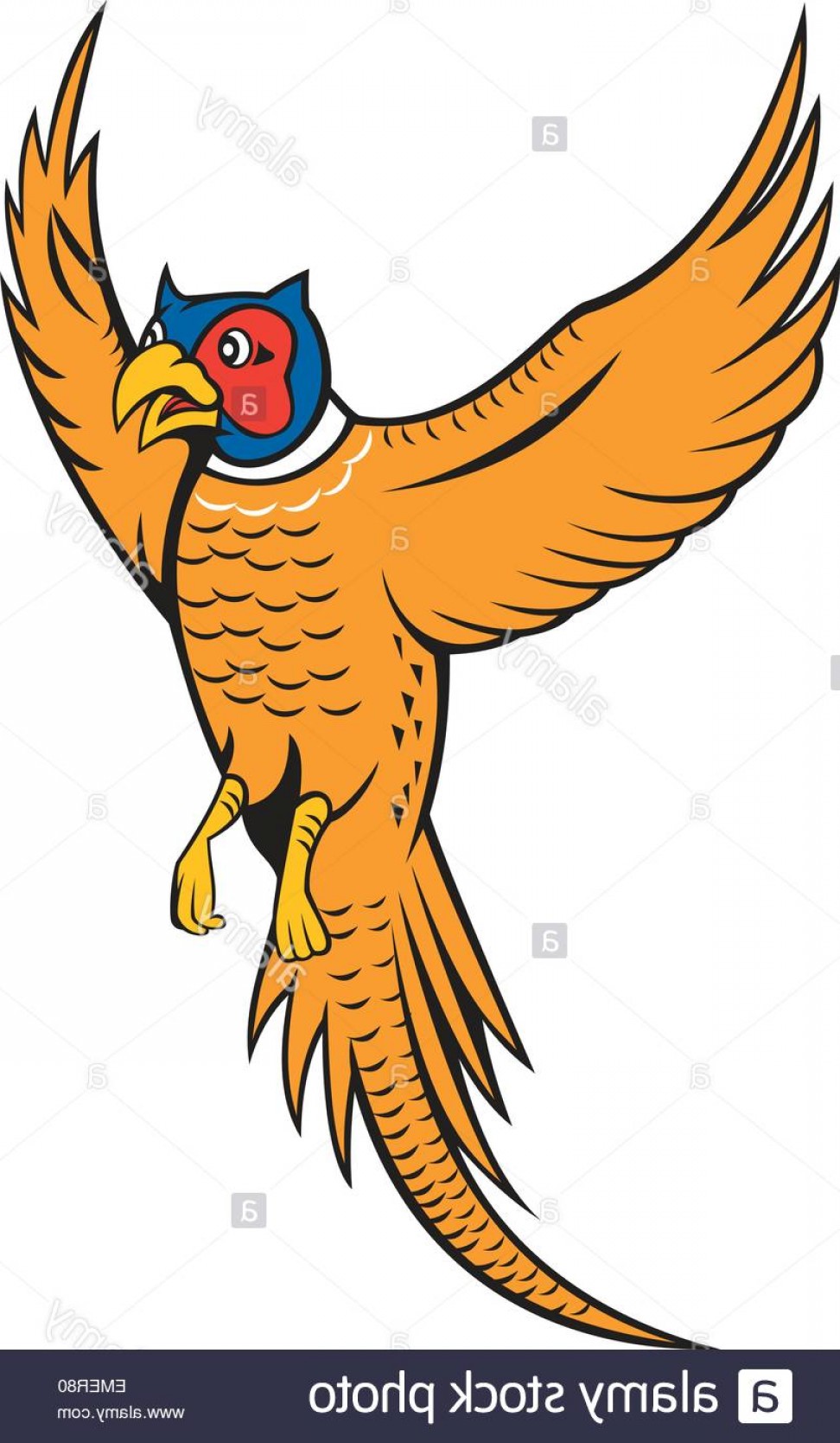 972x1668 Stock Photo Pheasant Bird Fowl Flying Cartoon Soidergi