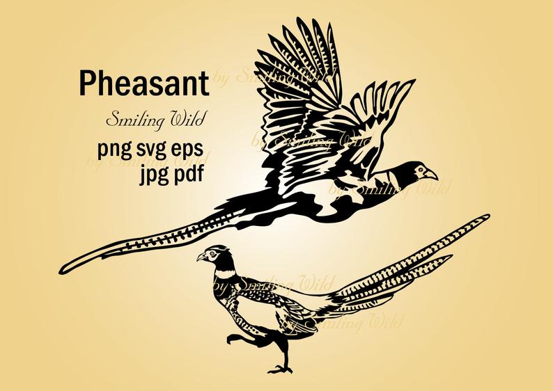 794x562 Bird Pheasant Clipart Vector Graphic Art Artwork Pheasant Etsy