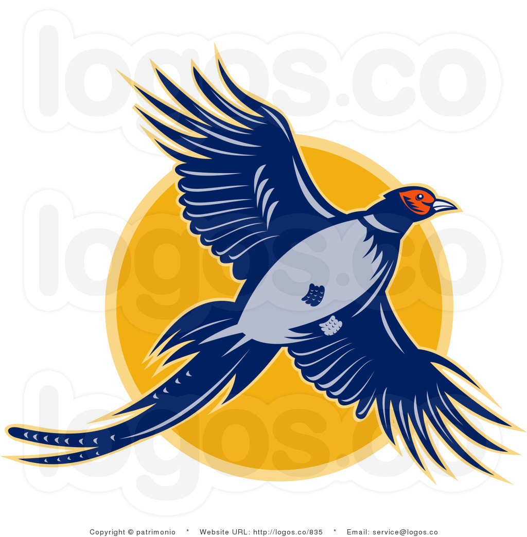 1024x1044 Vector Logo Of A Pheasant