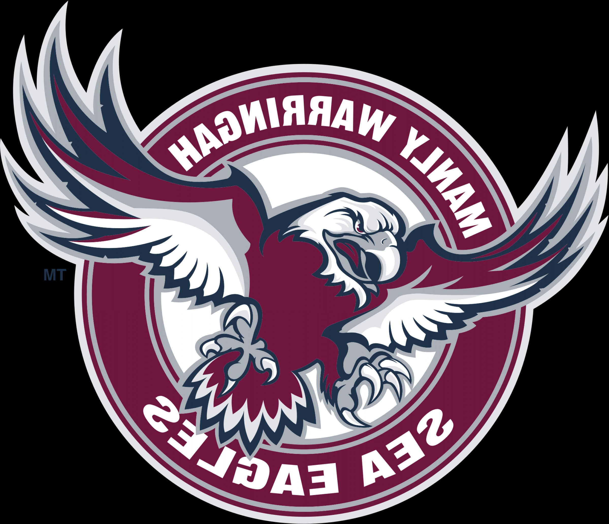 2398x2064 Philadelphia Eagles Logo Png High Resolution Handandbeak