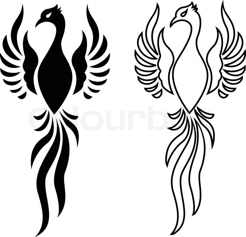 Phoenix Bird Tattoo Stock Vector Colourbox 800x772 Phoenix Bird Tattoo Stock Vector Colourbox