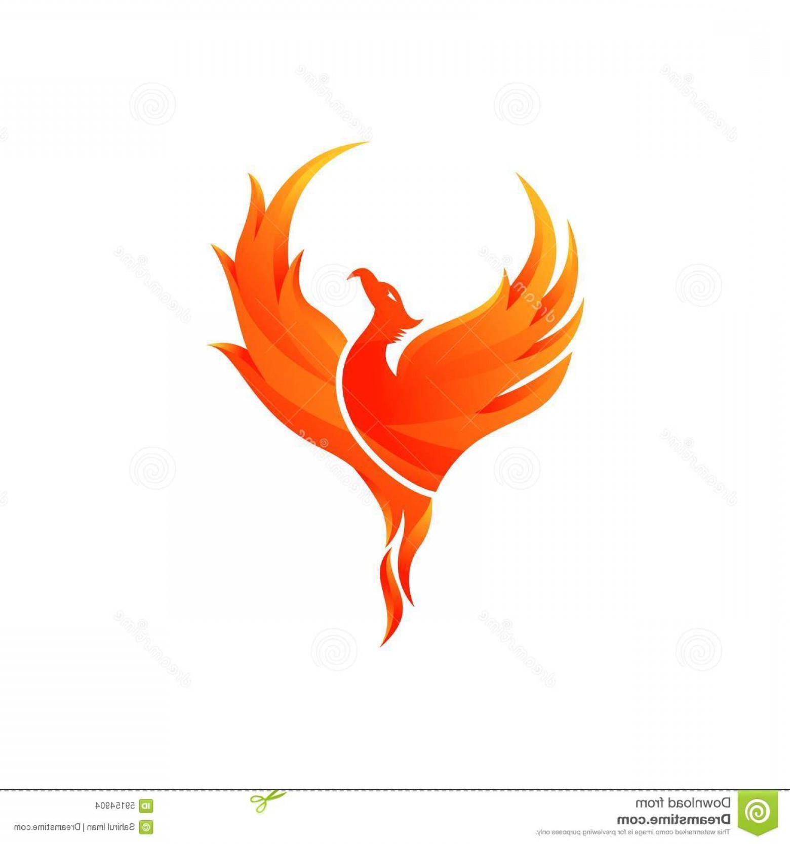 Stock Illustration Phoenix Vector Template Background Image Soidergi 1560x1668 Stock Illustration Phoenix Vector Template Background Image Soidergi