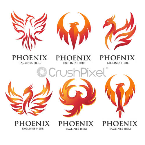 Creative Luxury Phoenix Bird Logo Concept Vector, Stock Vector 500x500 Creative Luxury Phoenix Bird Logo Concept Vector, Stock Vector