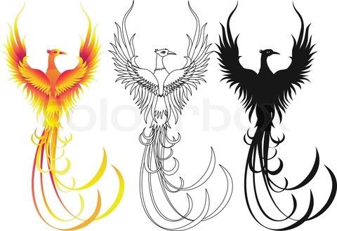 Phoenix Silhouette Stock Vector Of 'phoenix Bird' Pooter 480x330 Phoenix Silhouette Stock Vector Of 'phoenix Bird' Pooter