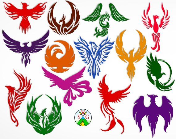 Phoenix 570x450 Phoenix