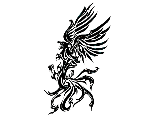 Phoenix Tattoo Right Icons Png 650x495 Phoenix Tattoo Right Icons Png