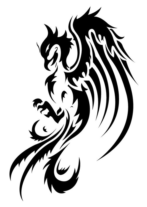 Phoenix Tattoo Vector 500x704 Phoenix Tattoo Vector
