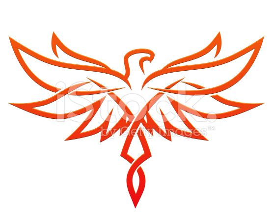 Phoenix Tattoo Vector Tattoos Phoenix Design, Small Phoenix 556x448 Phoenix Tattoo Vector Tattoos Phoenix Design, Small Phoenix