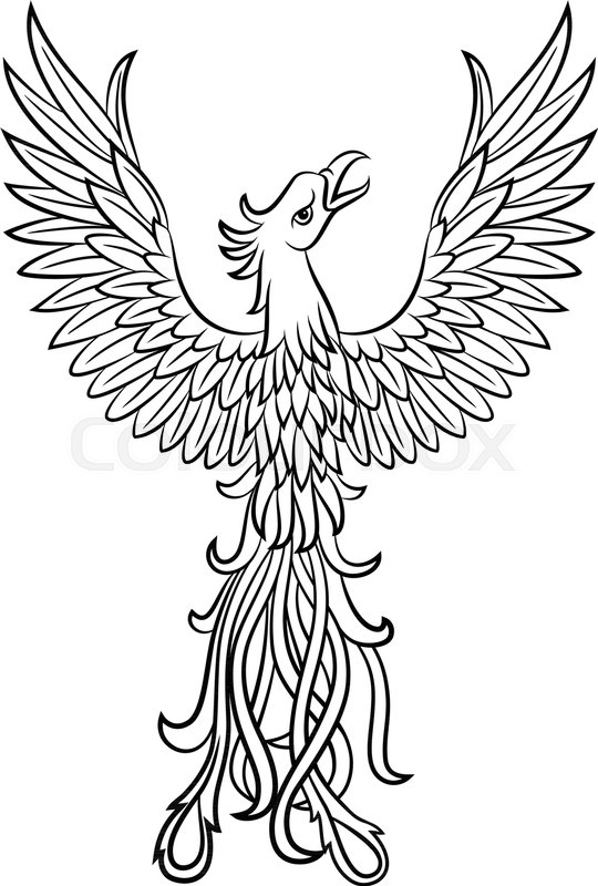 Vector Illustration Of Phoenix Tattoo Stock Vector Colourbox 540x800 Vector Illustration Of Phoenix Tattoo Stock Vector Colourbox