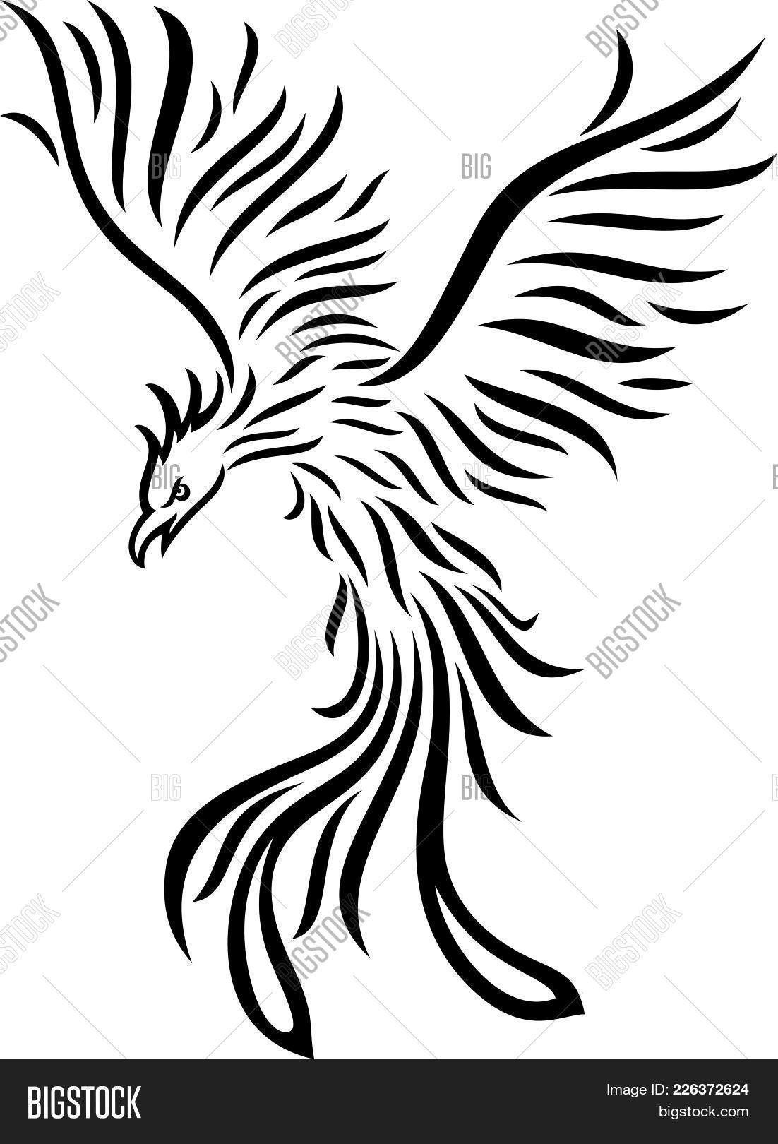 Vector Illustration Of Phoenix Tattoo Remoted On White Background 1102x1620 Vector Illustration Of Phoenix Tattoo Remoted On White Background