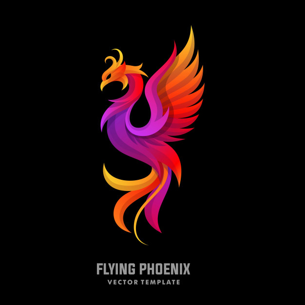 Phoenix Concept Designs Illustration Vector Template Vector 626x626 Phoenix Concept Designs Illustration Vector Template Vector