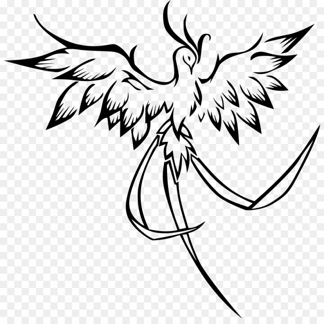 Png Line Art Drawing Clip Art Phoenix Vector Hoodamathrun 1080x1080 Png Line Art Drawing Clip Art Phoenix Vector Hoodamathrun