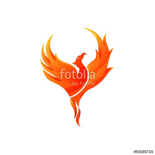 500x500 Phoenix Vector Template Stock Image And Royalty Free Vector