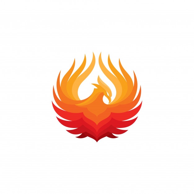 626x626 Phoenix Logo Collection Vector Free Download