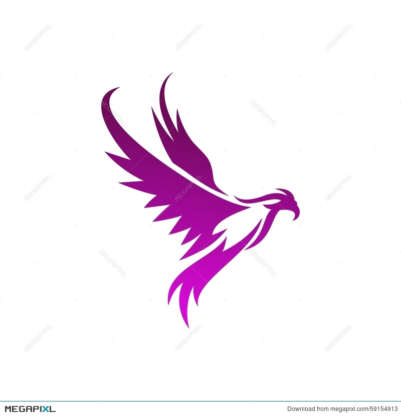 800x830 Phoenix Vector Template Illustration