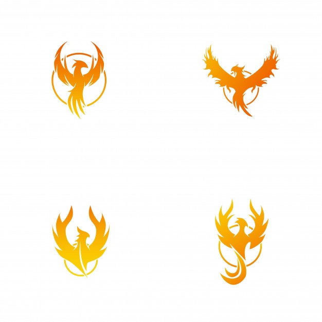 626x626 Phoenix Logo Collection Vector Free Download