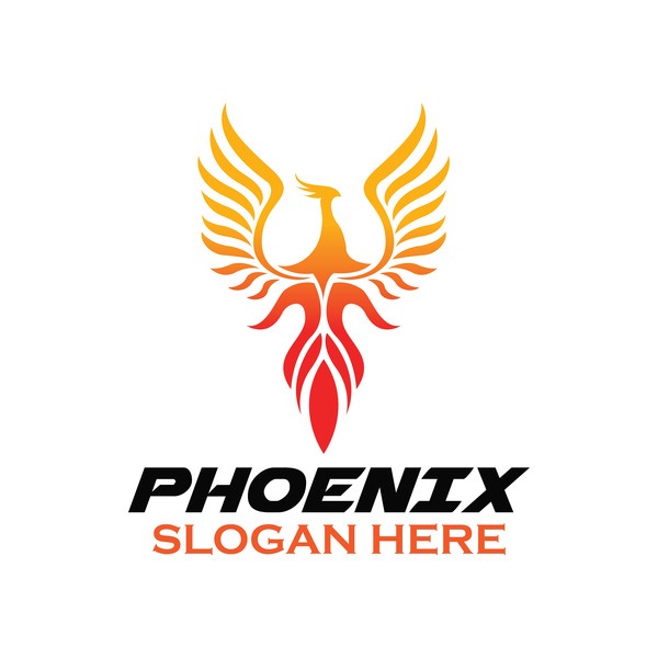 600x600 Creative Phoenix Logo Set Vector Download My Free Photoshop World
