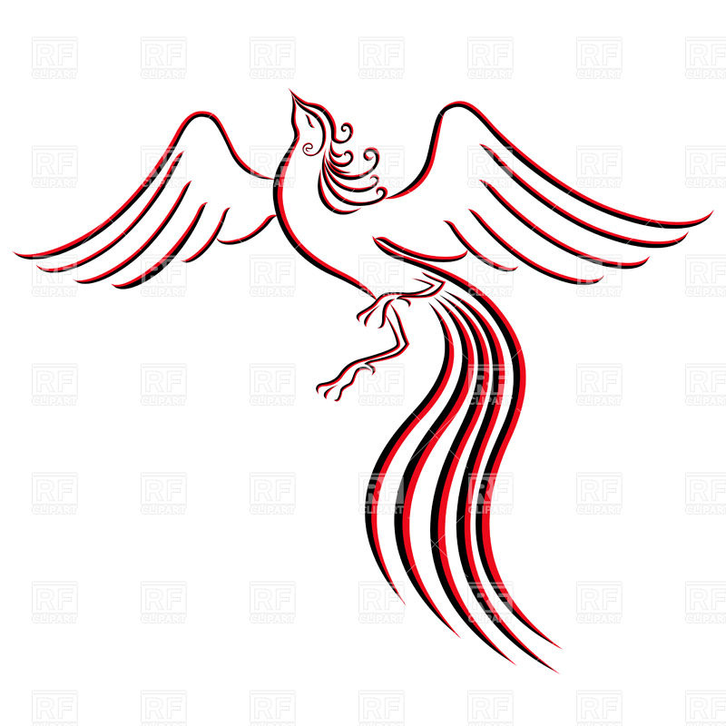800x800 Graceful Firebird