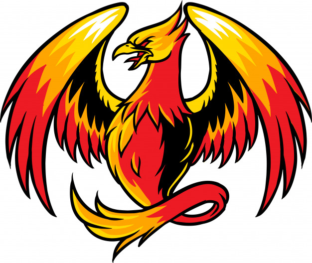 626x528 Phoenix Vector Premium Download