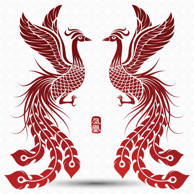626x626 Chinese Phoenix Vector Premium Download