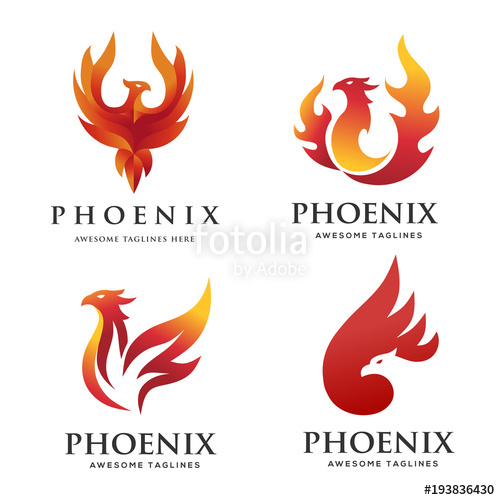 500x500 Luxury Phoenix Logo Concept, Best Phoenix Bird Logo Design