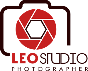 300x243 Leo Studio Photographer Logo Vector