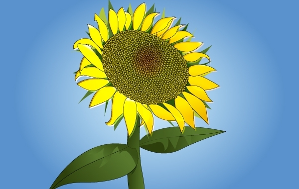 Free Vectors Photorealistic Sunflower Vector Raspete 600x380 Free Vectors Photorealistic Sunflower Vector Raspete