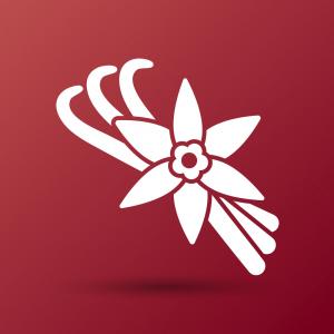 300x300 Adobe Photoshop Logo Icon Vector Free Download Hoodamathrun