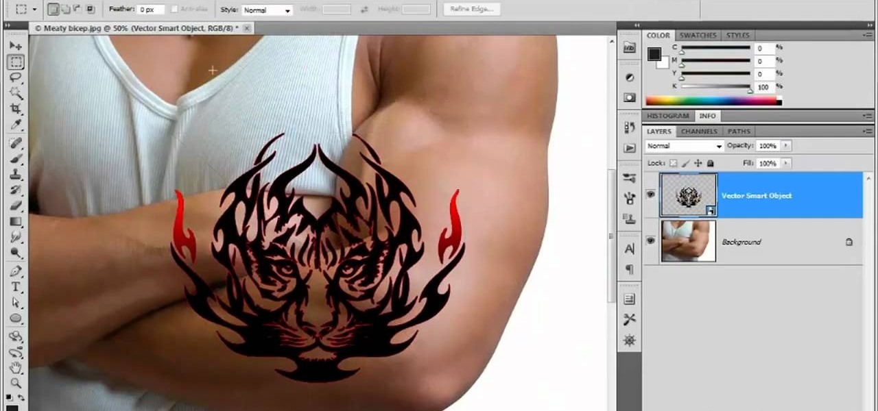 1280x600 How To Copy And Paste Vector Graphics In Adobe Photoshop