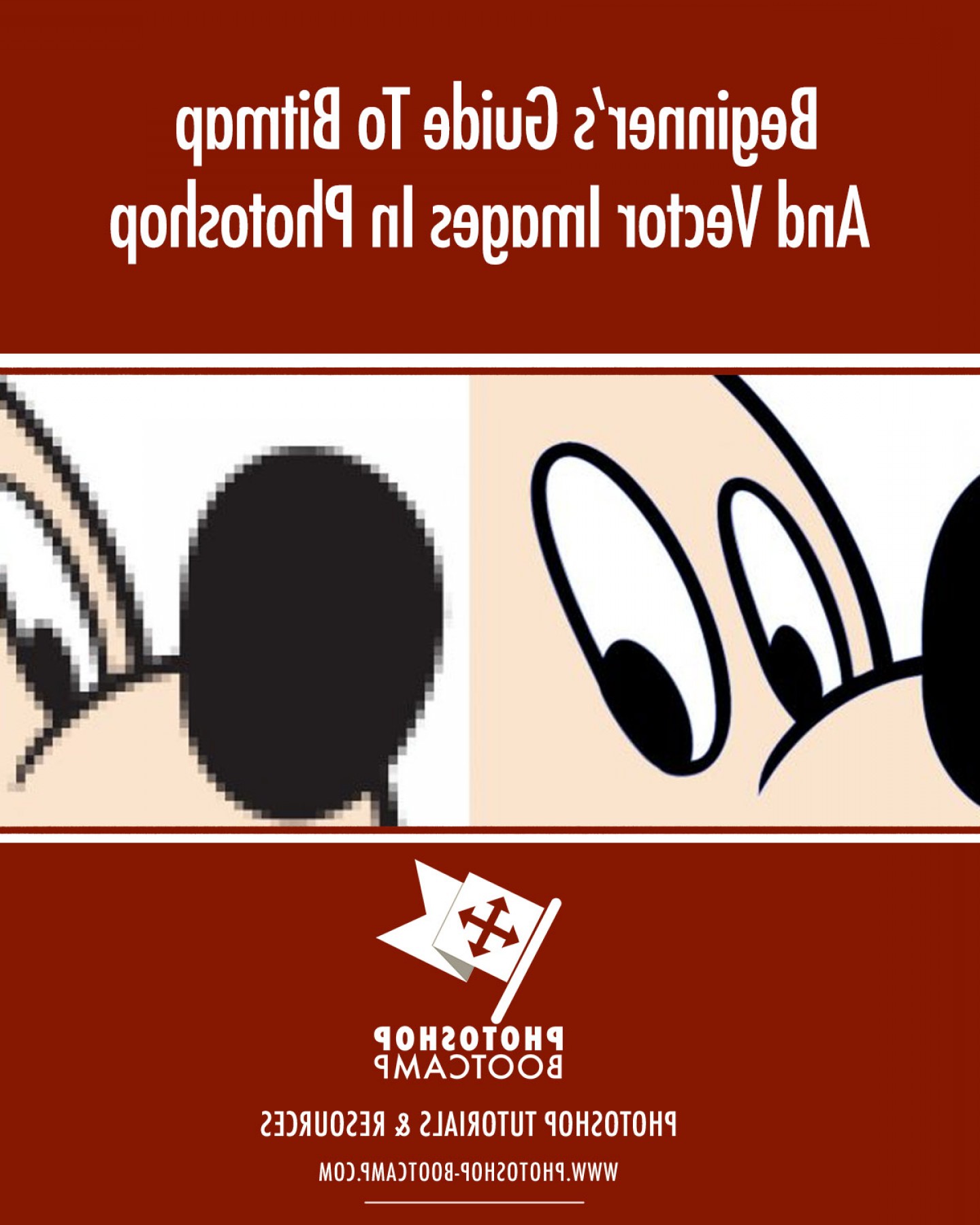 Photoshop Vector Graphics at Vectorified.com | Collection of Photoshop