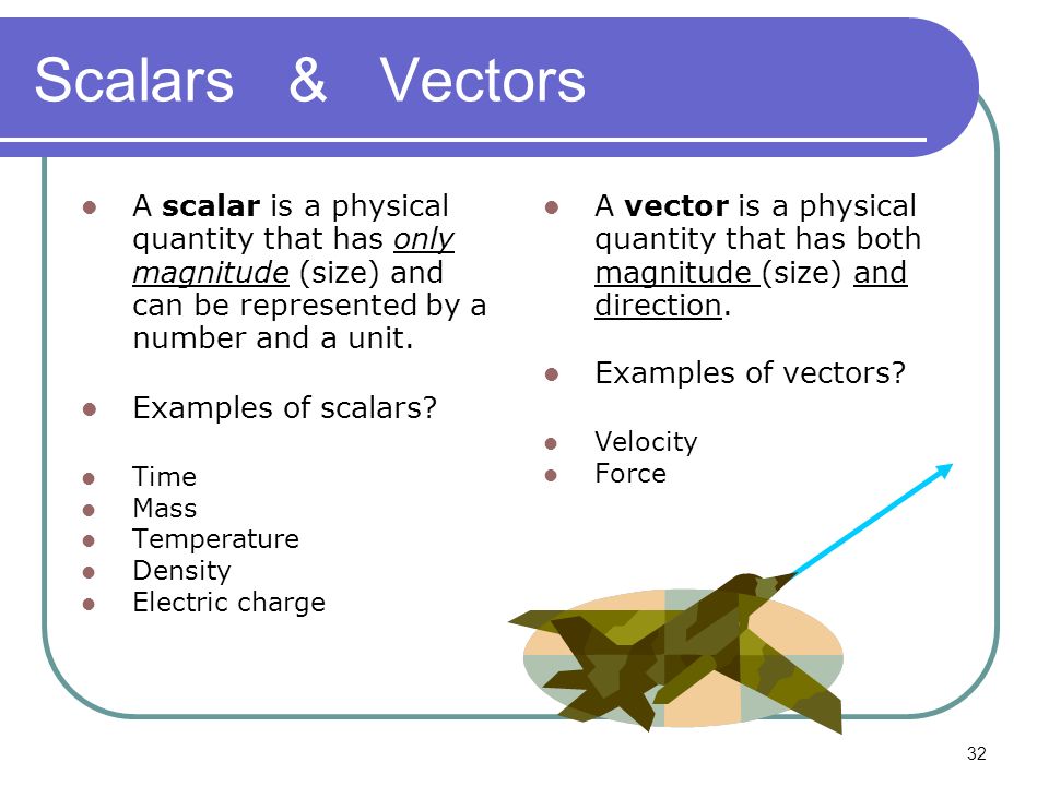 Physical Vector at Vectorified.com | Collection of Physical Vector free ...