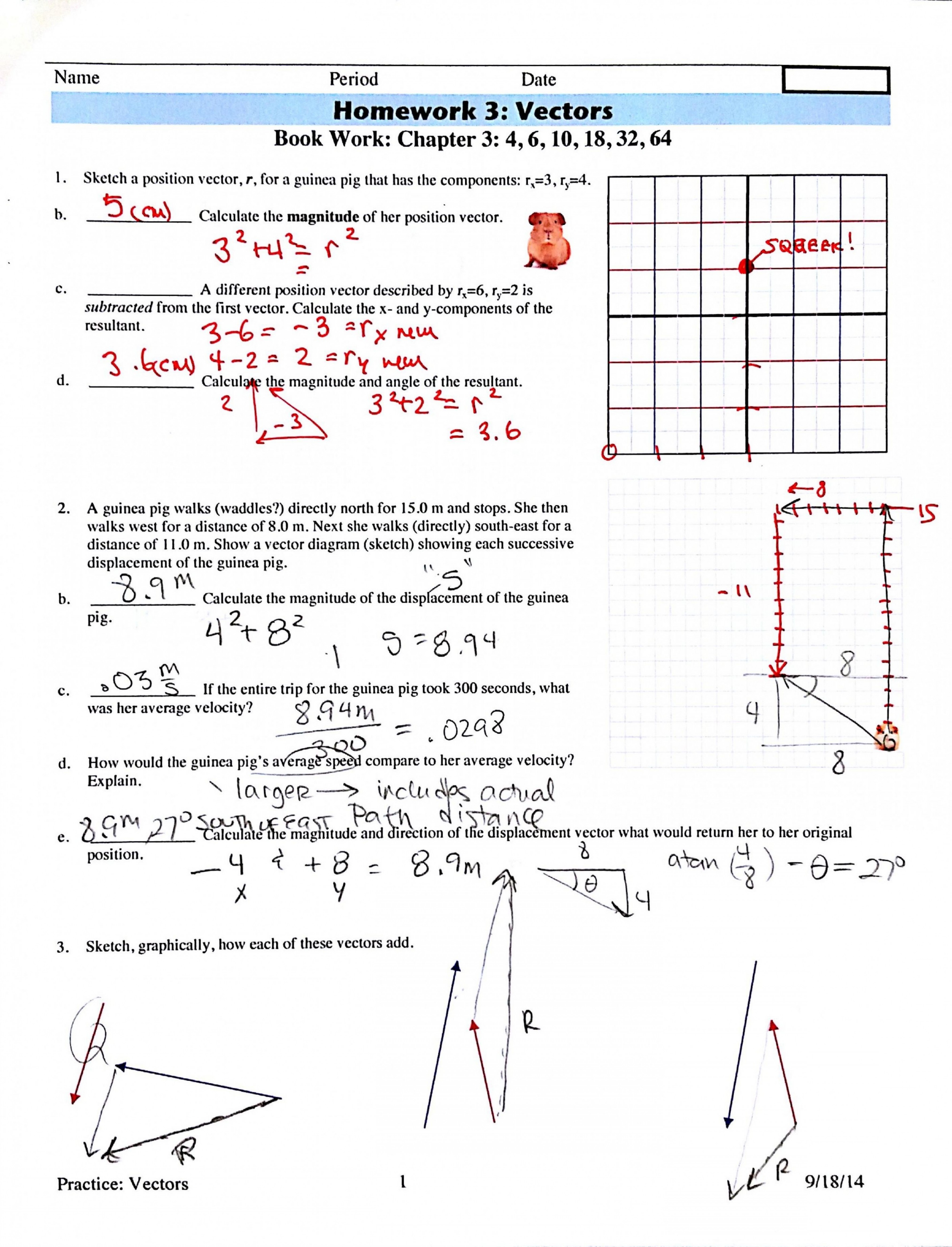 geometric representation of vectors worksheet answers