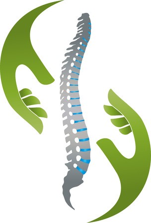 304x450 Two Hands And Spine, Orthopedics, Physiotherapy Vector Royalty