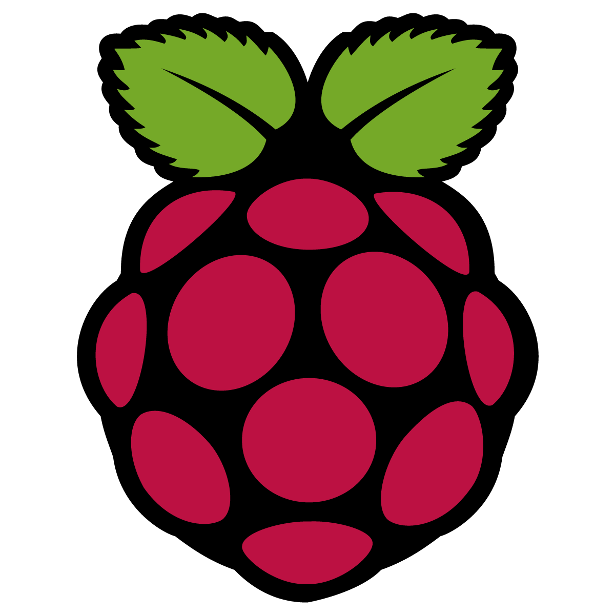 1200x1200 Raspberry Pi Icon Logo Vector Free Vector Silhouette Graphics