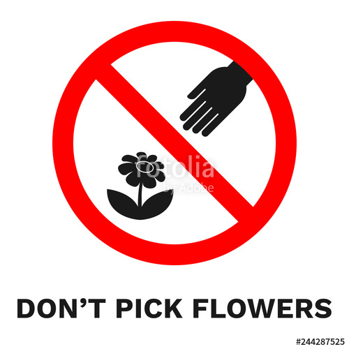 Do Not Pick Flowers Sign Banner With Inscription Vector Stock 500x500 Do Not Pick Flowers Sign Banner With Inscription Vector Stock