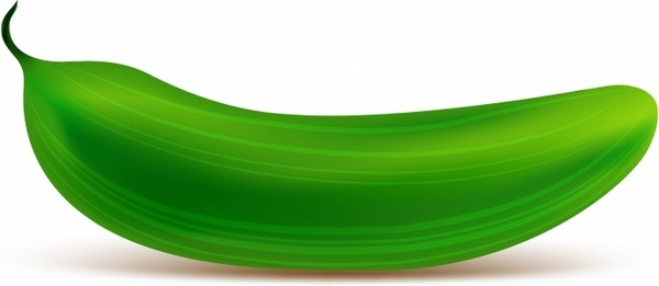 600x261 Pickle Cucumber Free Vector Download