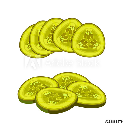 500x500 Hamburger Ingredient Sliced Marinated Cucumber, Pickle Vector
