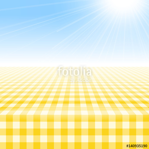 500x500 Empty Picnic Table, Covered With Checkered Gingham Tablecloth