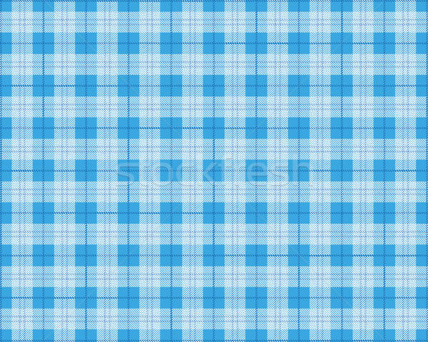 600x480 Blue Picnic Blanket Sh Vector Illustration