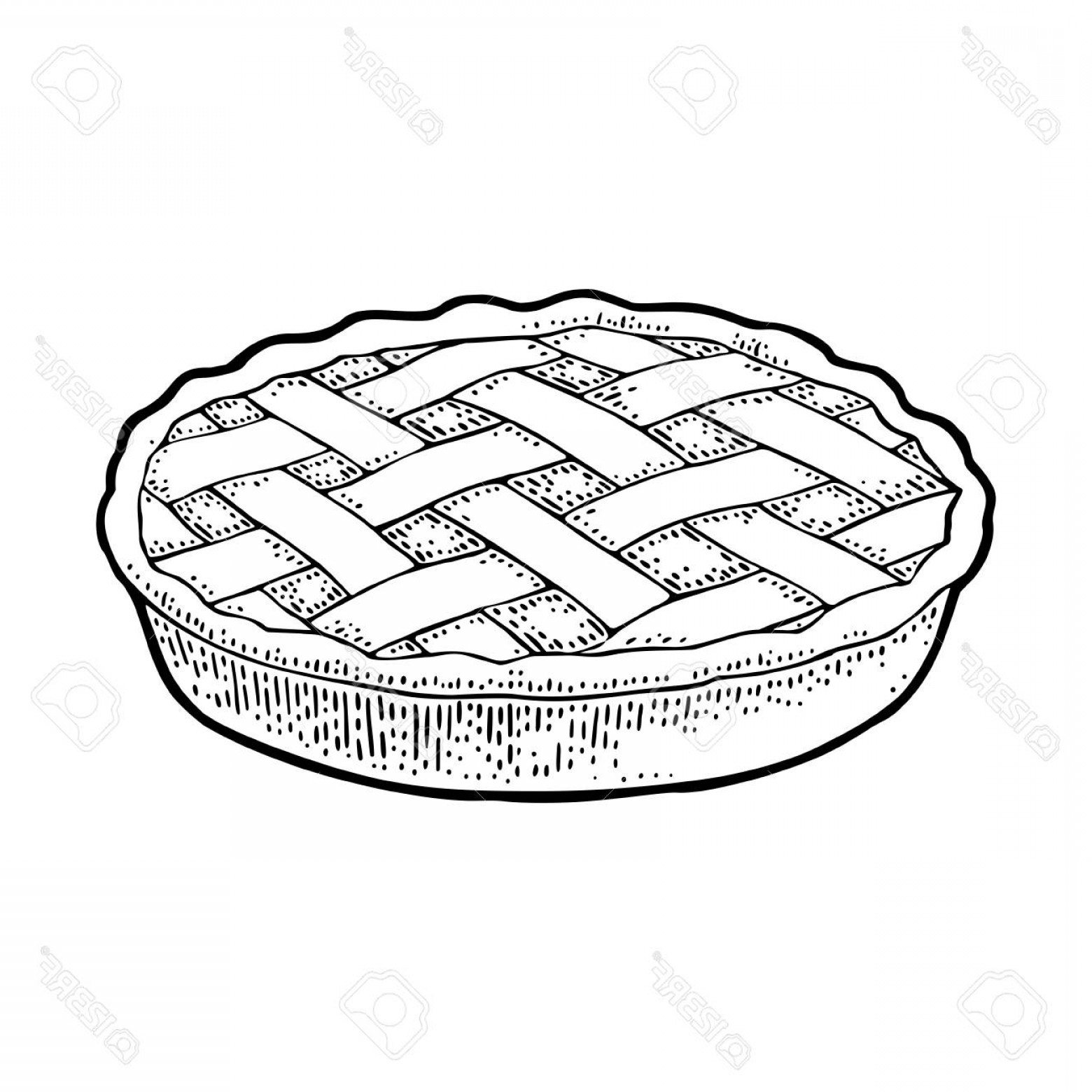 1560x1560 Photostock Vector Whole Homemade Apple Pie Vector Black Vintage