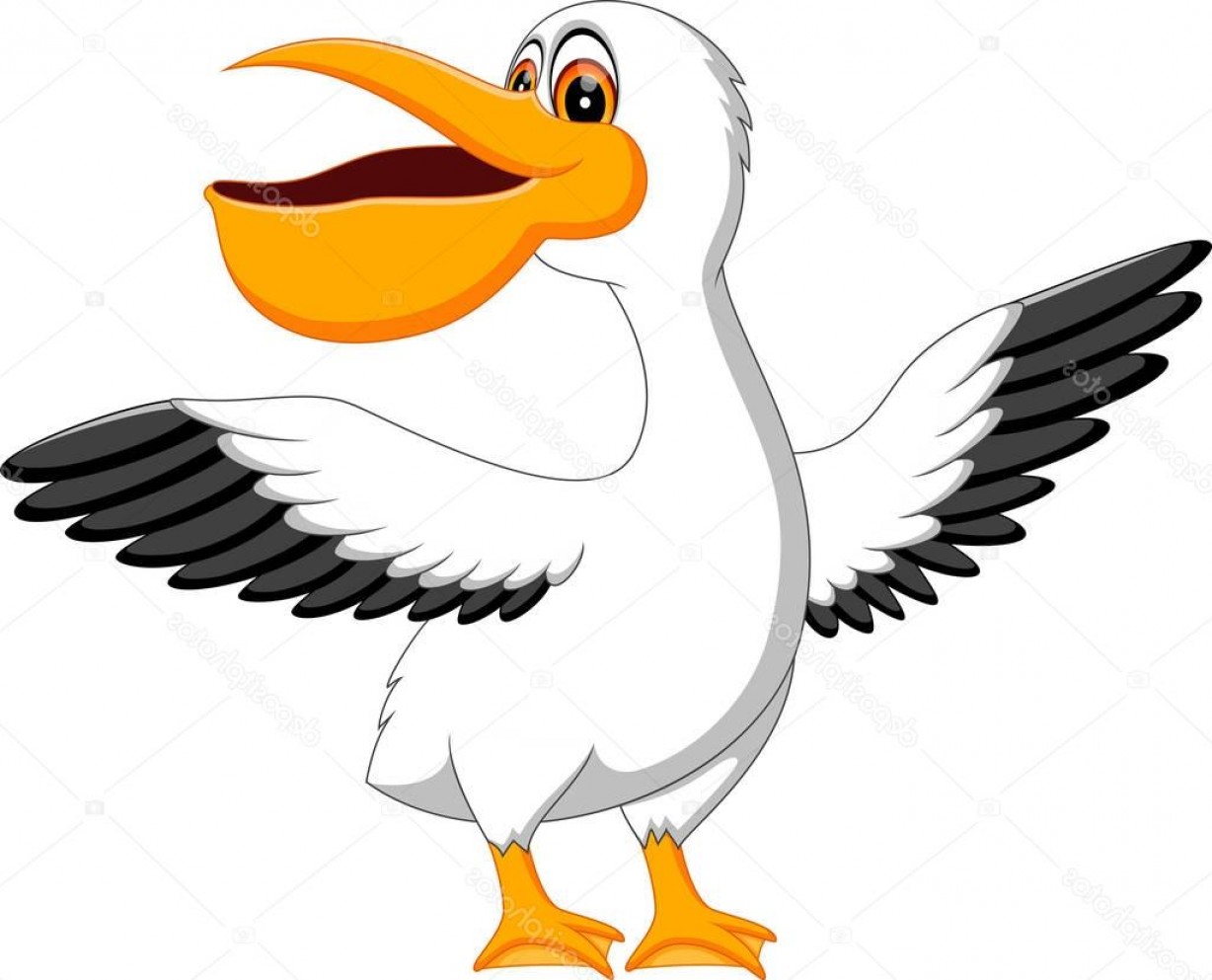 1228x993 Pelican Pier Vector Hoodamath