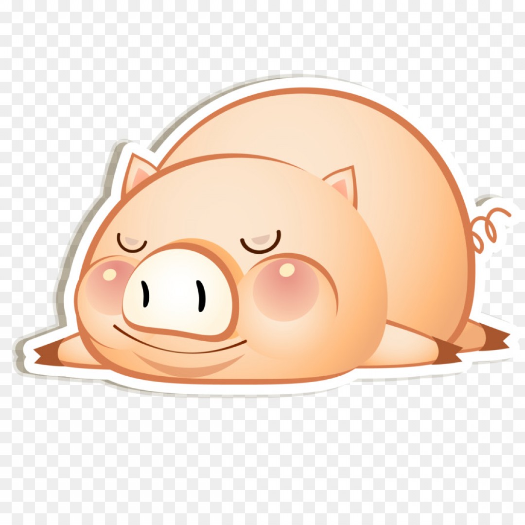 Png Domestic Pig Cartoon Clip Art Tummy Cartoon Pig Ve Hoodamathrun 1080x1080 Png Domestic Pig Cartoon Clip Art Tummy Cartoon Pig Ve Hoodamathrun