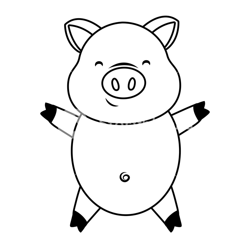 1000x1000 Cute Pig Cartoon Vector Illustration Graphic Design Royalty Free