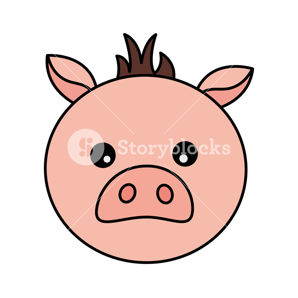 1000x1000 Pig Face Animal On White Background Vector Illustration Royalty